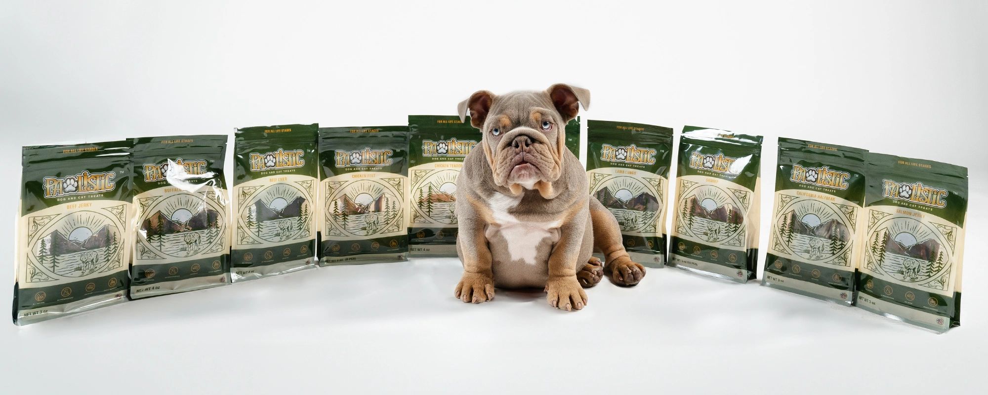 English bulldog in front of Pawlistic Treats